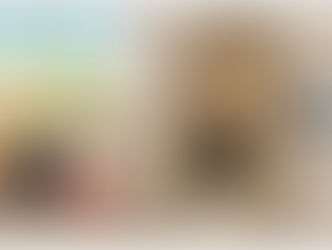 The Incredible Shrinking President