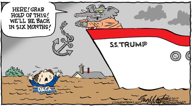 DACA Caca