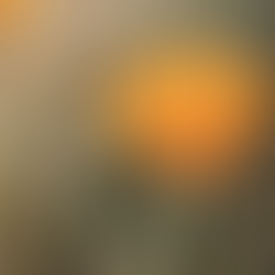 Expert Business Broker in California: Julie Nix Quevedo