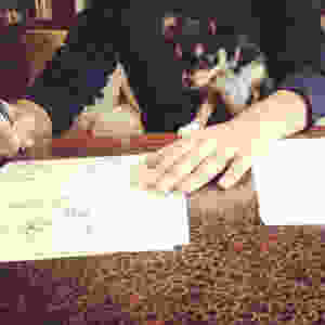 image.jpeg