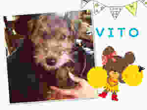 image.jpeg