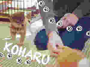 image.jpeg