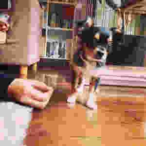 image.jpeg