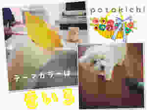 image.jpeg