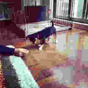 image.jpeg