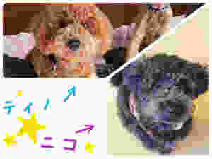 image.jpeg