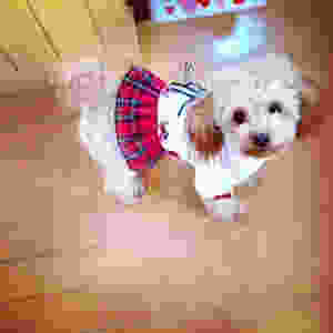image-1.jpeg