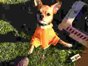image-1_edited.jpeg