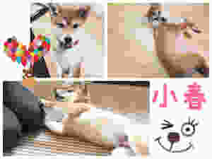 image.jpeg