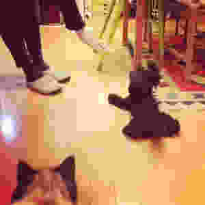 image.jpeg