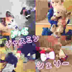 image.jpeg