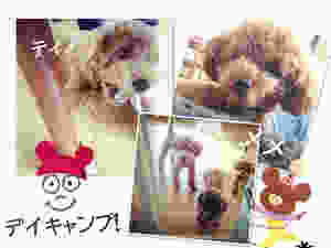image.jpeg