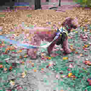 image.jpeg