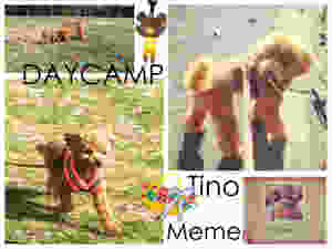 image-4.jpeg