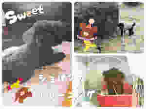 image-2.jpeg
