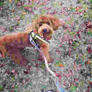 imagie.jpeg