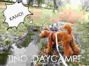 image.jpeg