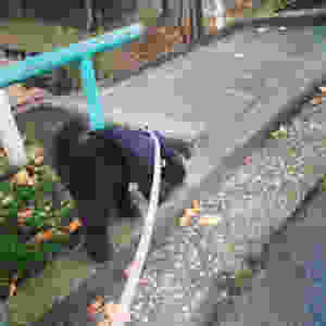 image.jpeg