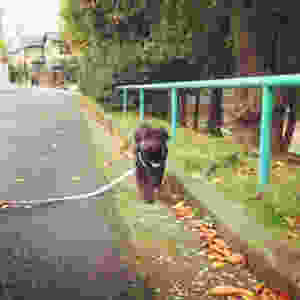 image.jpeg