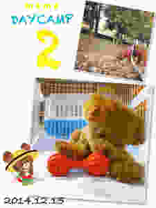 image.jpeg