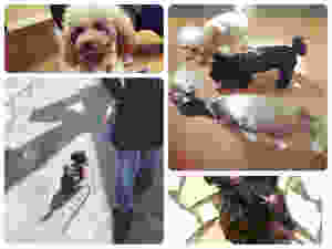 image.jpeg