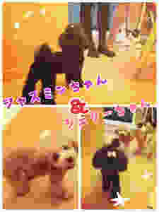 image.jpeg