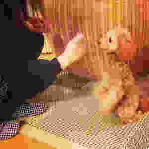 image.jpeg