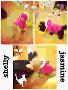 しぇみん.jpeg