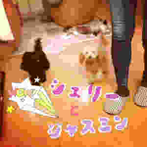 image.jpeg