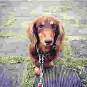 image.jpeg