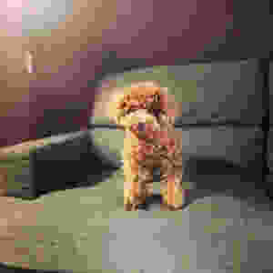 image-7.jpeg