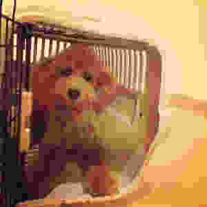 image.jpeg