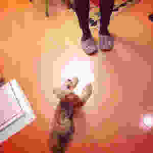 image.jpeg