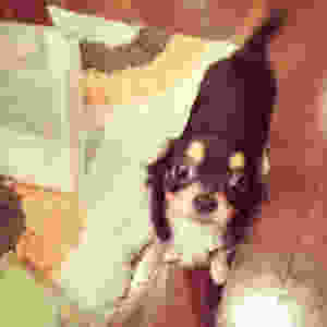 image.jpeg