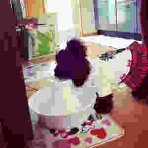 image-3.jpeg