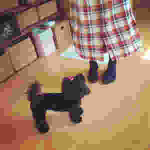 image.jpeg