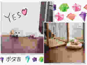 image.jpeg