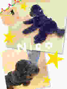 image.jpeg