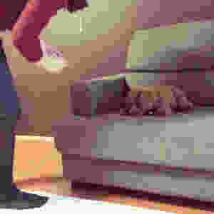 image-8.jpeg