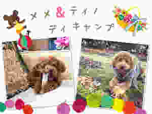 image.jpeg