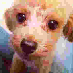 image.jpeg