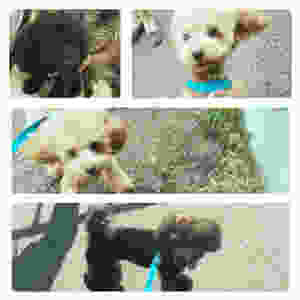 image.jpeg