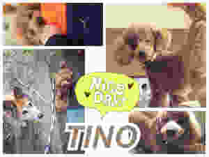 image.jpeg