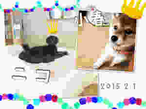 image.jpeg