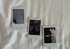 IMG_9968.jpeg