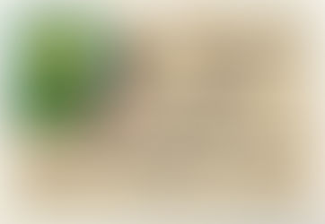 ދިވެހިގައުމު ތަޖުރިބާ ކުރަމުން މިދާ އިސްލާޙީ ހަރަކާތުގެ ފެށުމަކީ، ސިޔާސީ ޕާޓީއެއް އުފެއްދުމަށް 42 މީހުން އެއްބަސްވެ ސޮއިކުރި ކުރުމެއް ނޫނެވެ. އޭގެމާކުރިއެވެ.