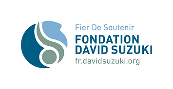 dsf-supporting-fr-colour-on-white.png
