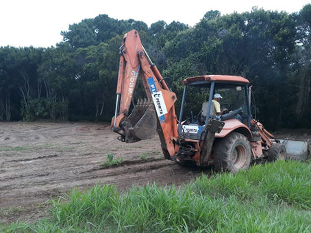 Parque Morro das Pedras terá show e atividades de lazer no Dia da Árvore