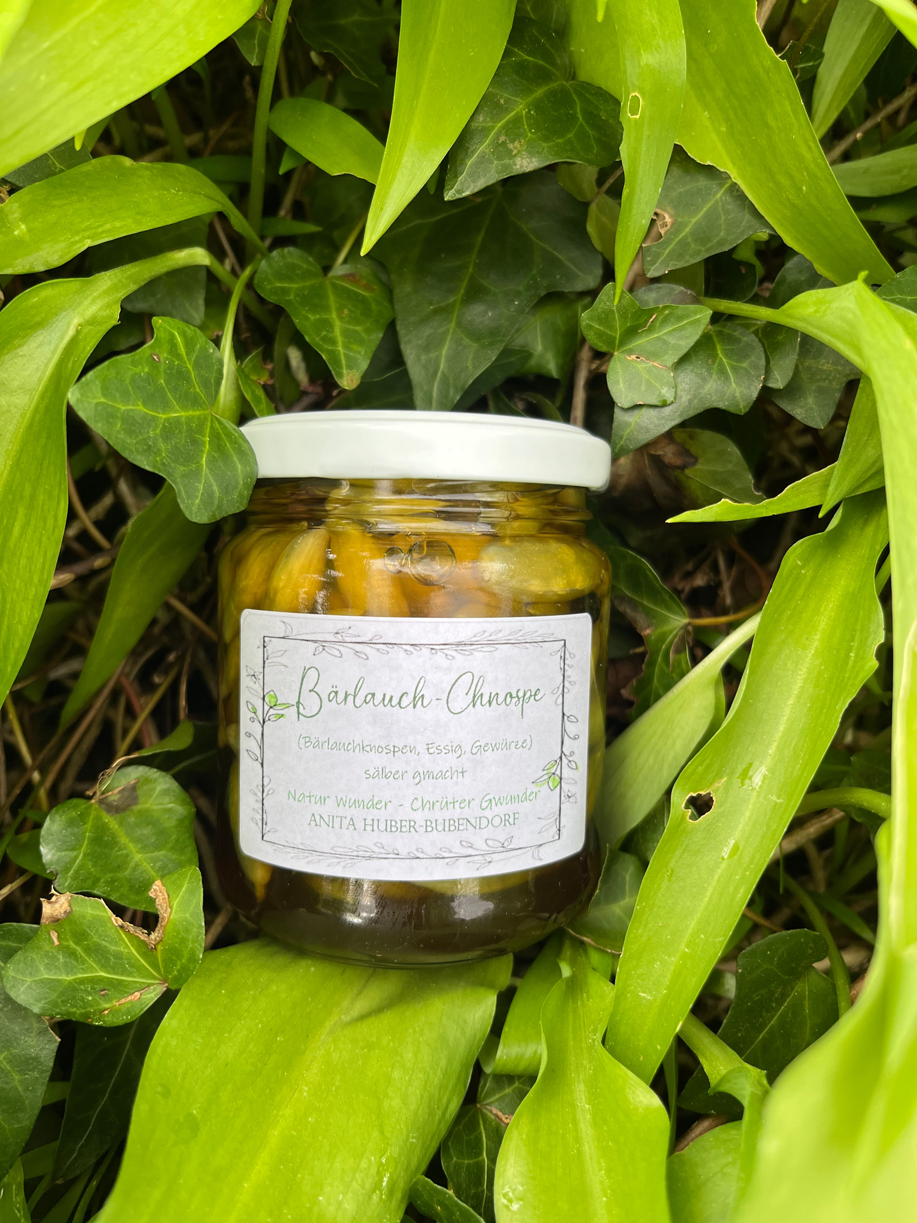 Bärlauch Chnospe