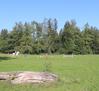 Springwiese, Reiten, Springreiten